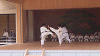 ise12 (125)_samu.gif